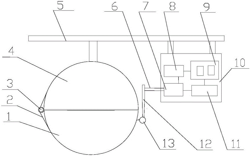 Device through which vermifuge can be automatically thrown and fed to dogs in timed manner