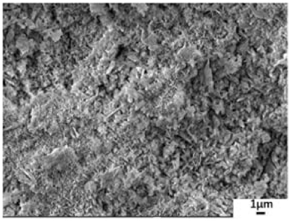 Super-hydrophobic matrix material of monoclinic-phase celsian glass ceramic and preparation method thereof