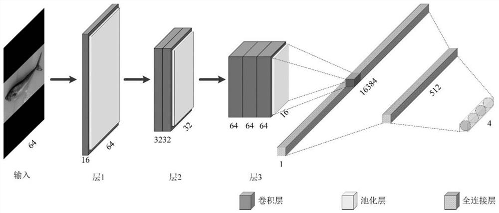 Fish posture recognition method