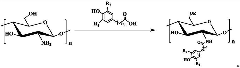 Chitosan-based multifunctional macromolecular rubber anti-aging agent, and preparation method and application thereof