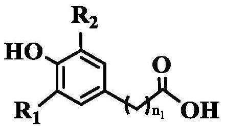 Chitosan-based multifunctional macromolecular rubber anti-aging agent, and preparation method and application thereof