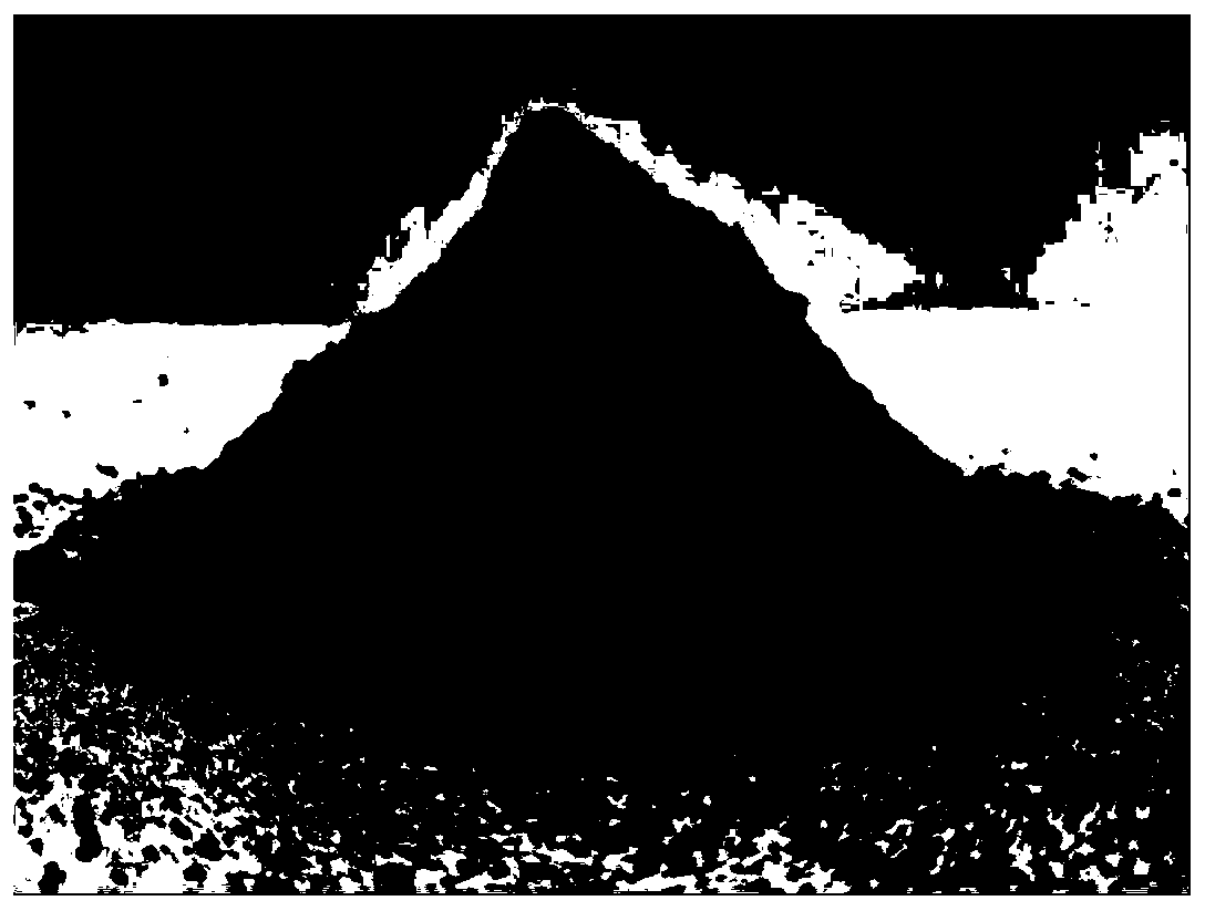 Magnetically sensitive simulated star loam and its preparation method