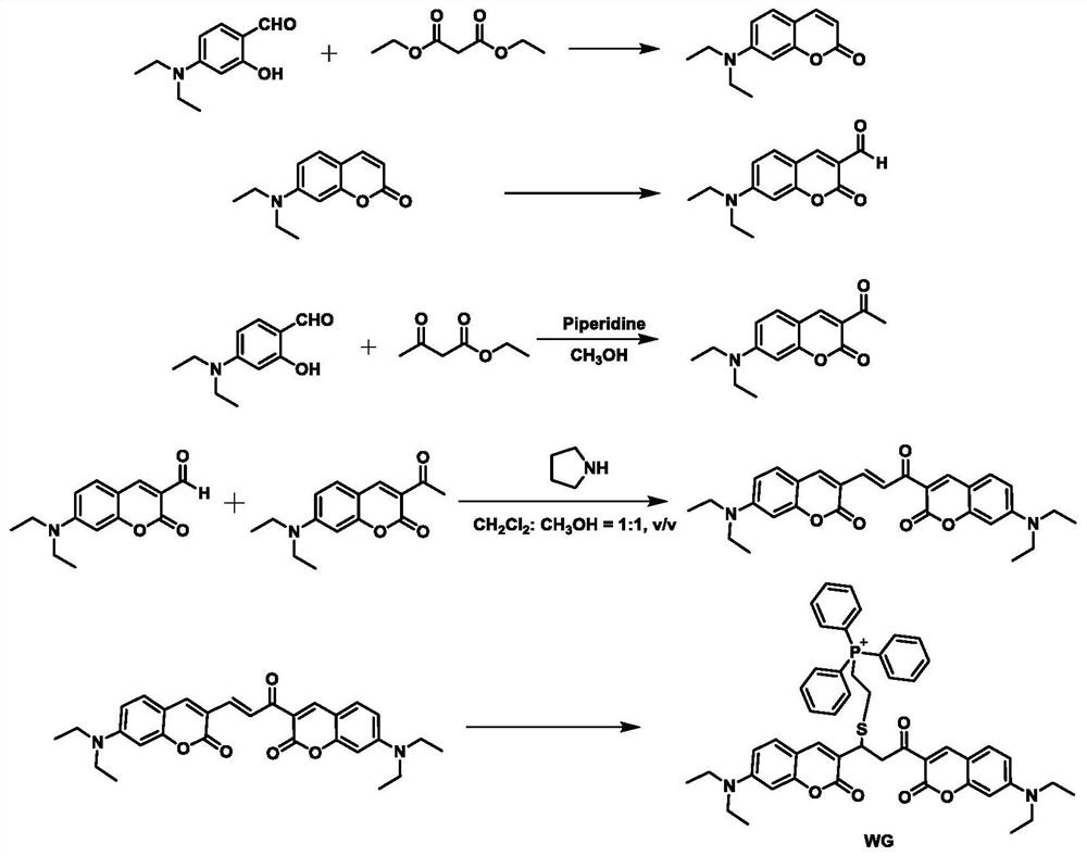 Bifunctional fluorescent probe for detecting hypochlorite ion and/or singlet oxygen in cell mitochondria, preparation method and application thereof