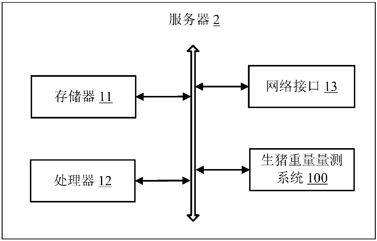 Live pig weight measuring method, server and computer readable storage medium