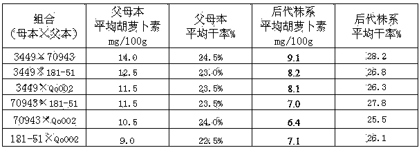 Breeding method for convergent improvement of carotene and dry rate characters of sweet potato