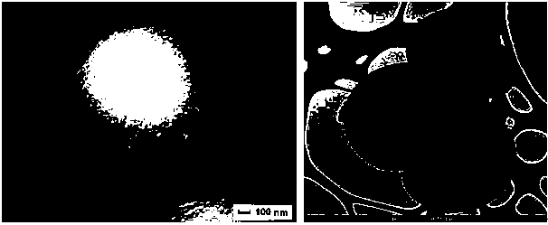 Method for controllably synthesizing niobium pentoxide microspheres and microflowers without template solvent heat