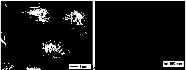 Method for controllably synthesizing niobium pentoxide microspheres and microflowers without template solvent heat