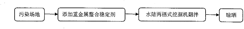 In-situ remediation method of heavy metal polluted site