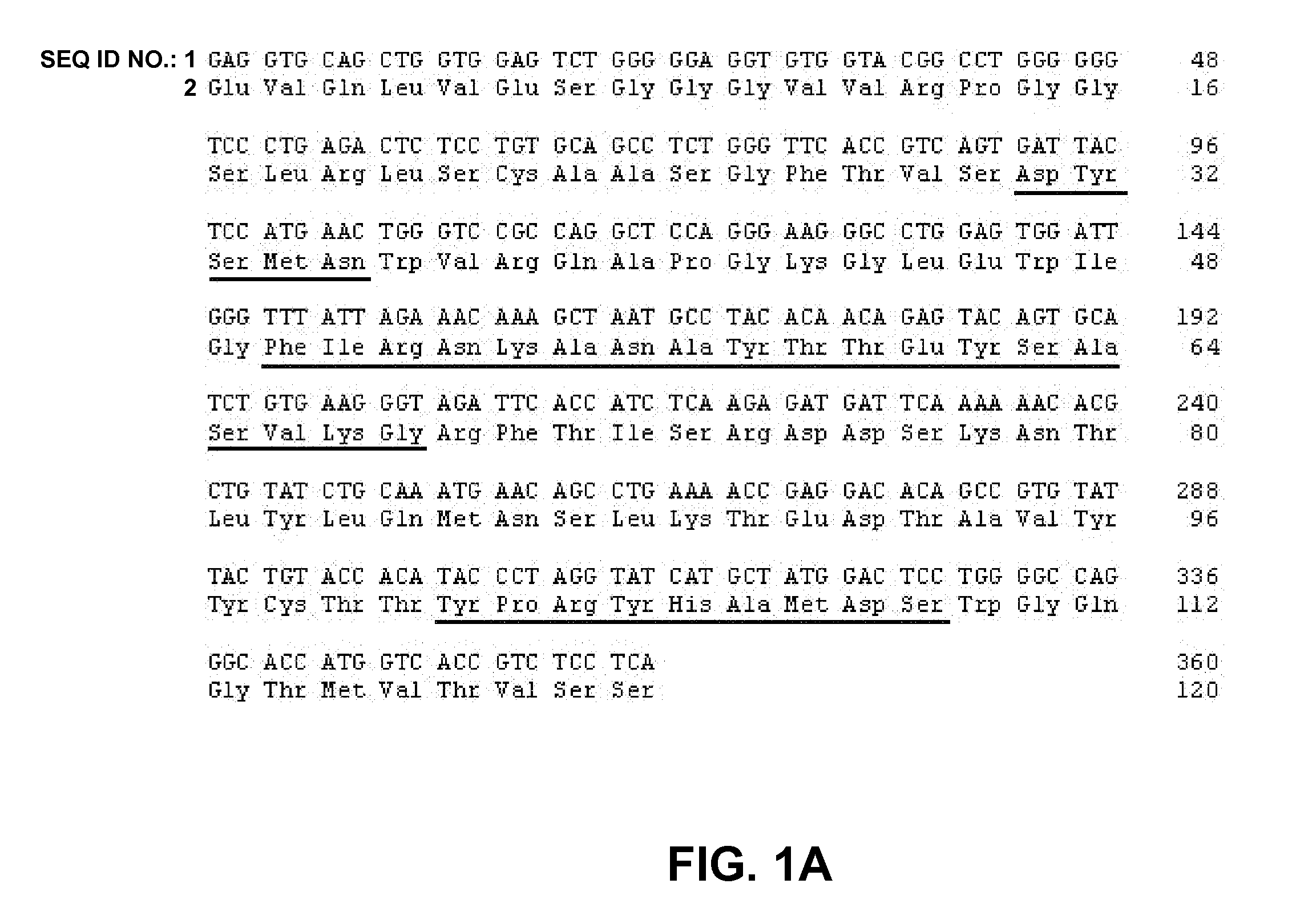 Protein Formulations