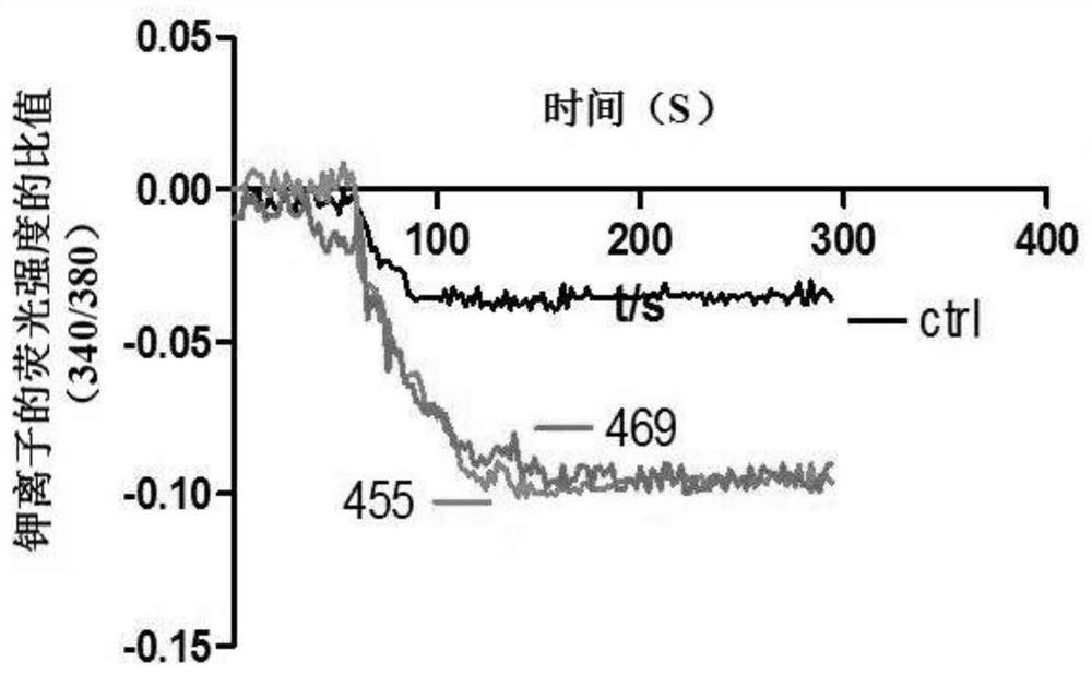 A compound that specifically enhances the spatial coupling degree of trpv4-kca2.3 complex and its use