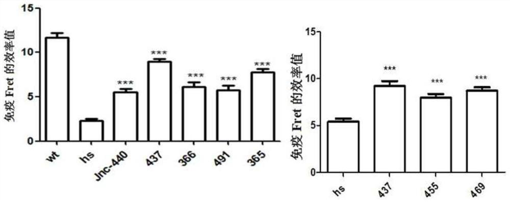 A compound that specifically enhances the spatial coupling degree of trpv4-kca2.3 complex and its use