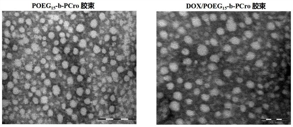 Crizotinib prodrug polymeric micelle co-loaded with chemotherapeutic drug and preparation method thereof