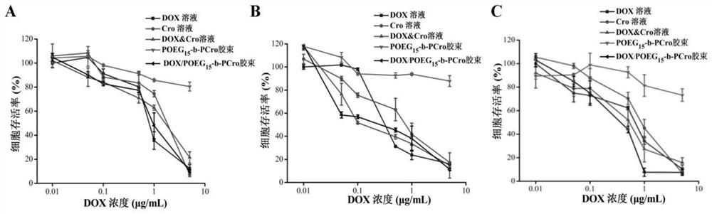 Crizotinib prodrug polymeric micelle co-loaded with chemotherapeutic drug and preparation method thereof