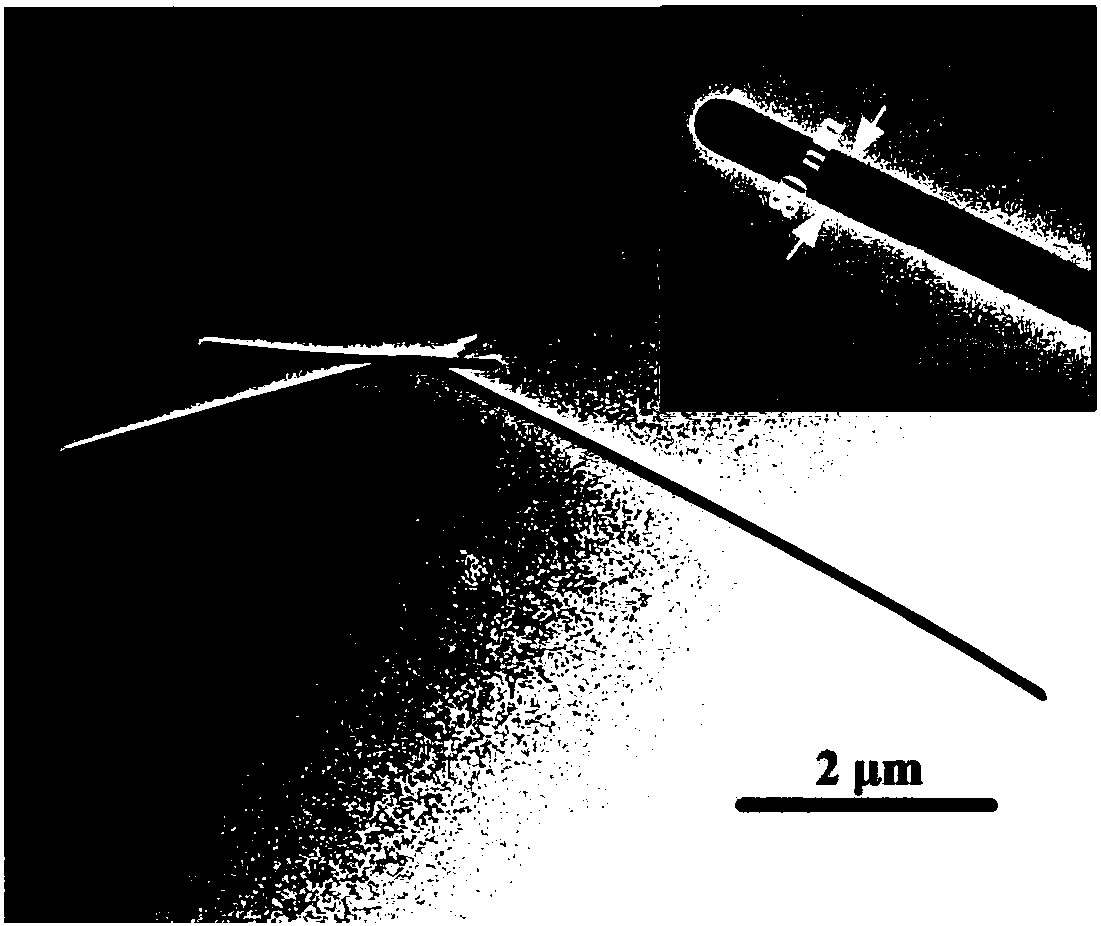 Electromagnetic shielding silicon rubber/graphene/silver nanowire nano composite material and preparation method thereof