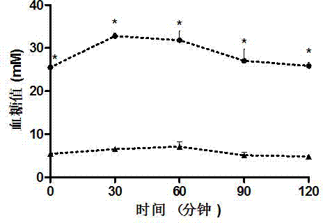 Method for establishing type 2 diabetes animal model and application of type 2 diabetes animal model in screening of blood sugar reducing medicaments