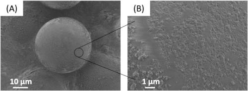 Acetylglucosamine imprinting material and applications of acetylglucosamine imprinting material in recognition of acetylglucosamine and acetylglucosamine modified peptides