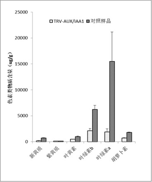 Tobacco aux/iaa and its application