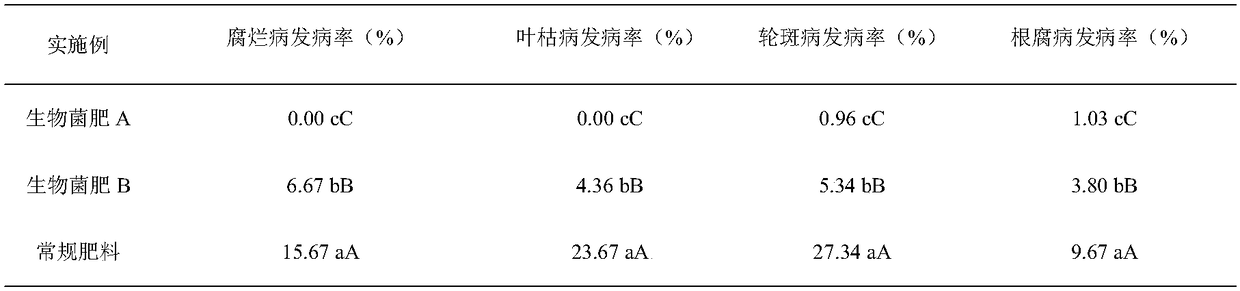 Wild papaya foliar bacterial fertilizer as well as preparation method and application thereof