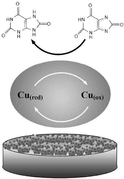 Uric acid electrochemical sensor based on active copper carbon point and application thereof