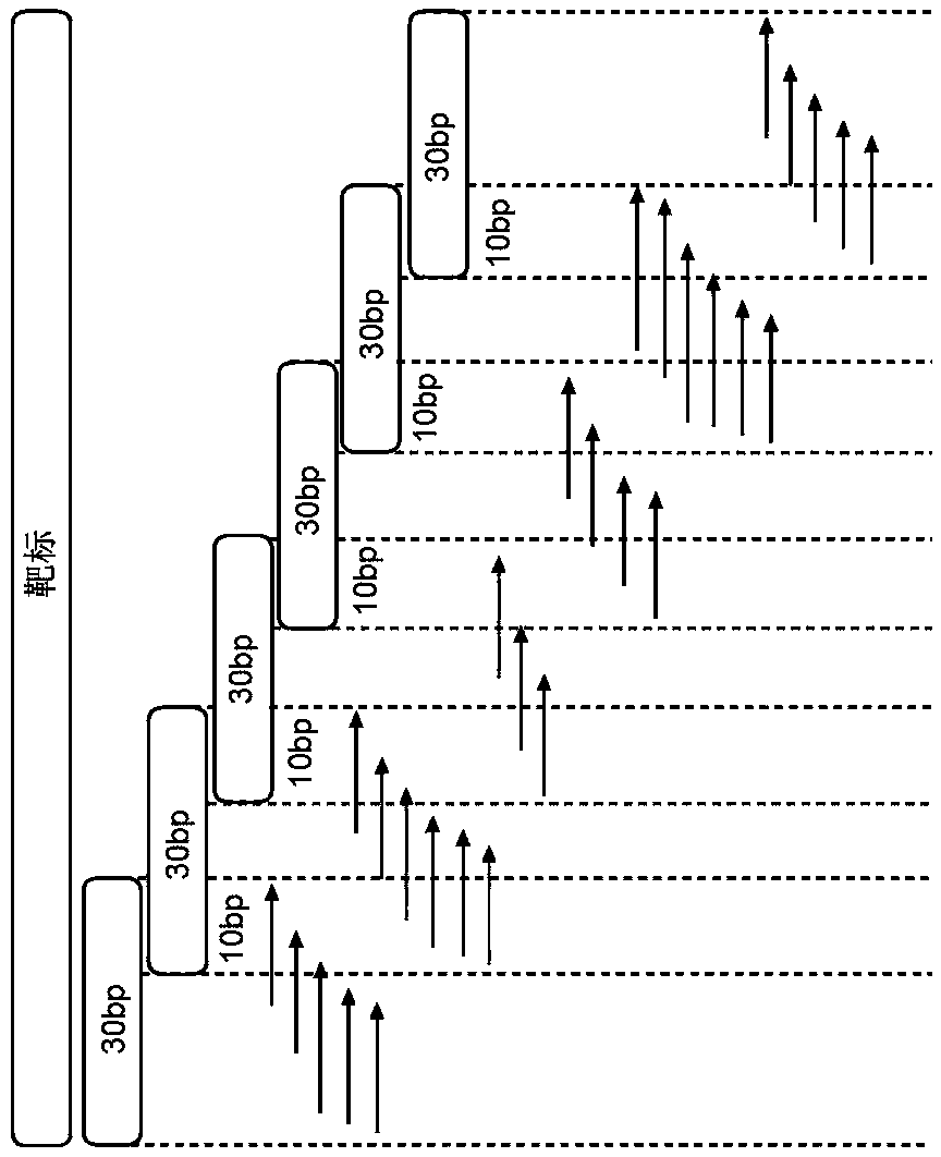 Compositions and methods for detection of nucleic acid mutations