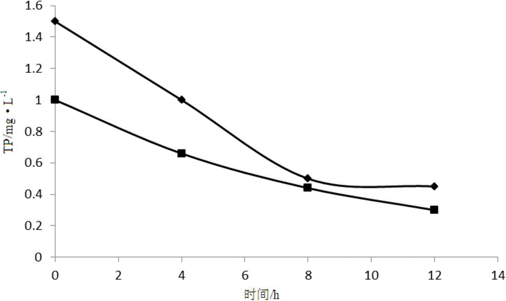 Sewage treatment method for appropriate removal of nitrogen and phosphorus according to the nitrogen content of the secondary effluent