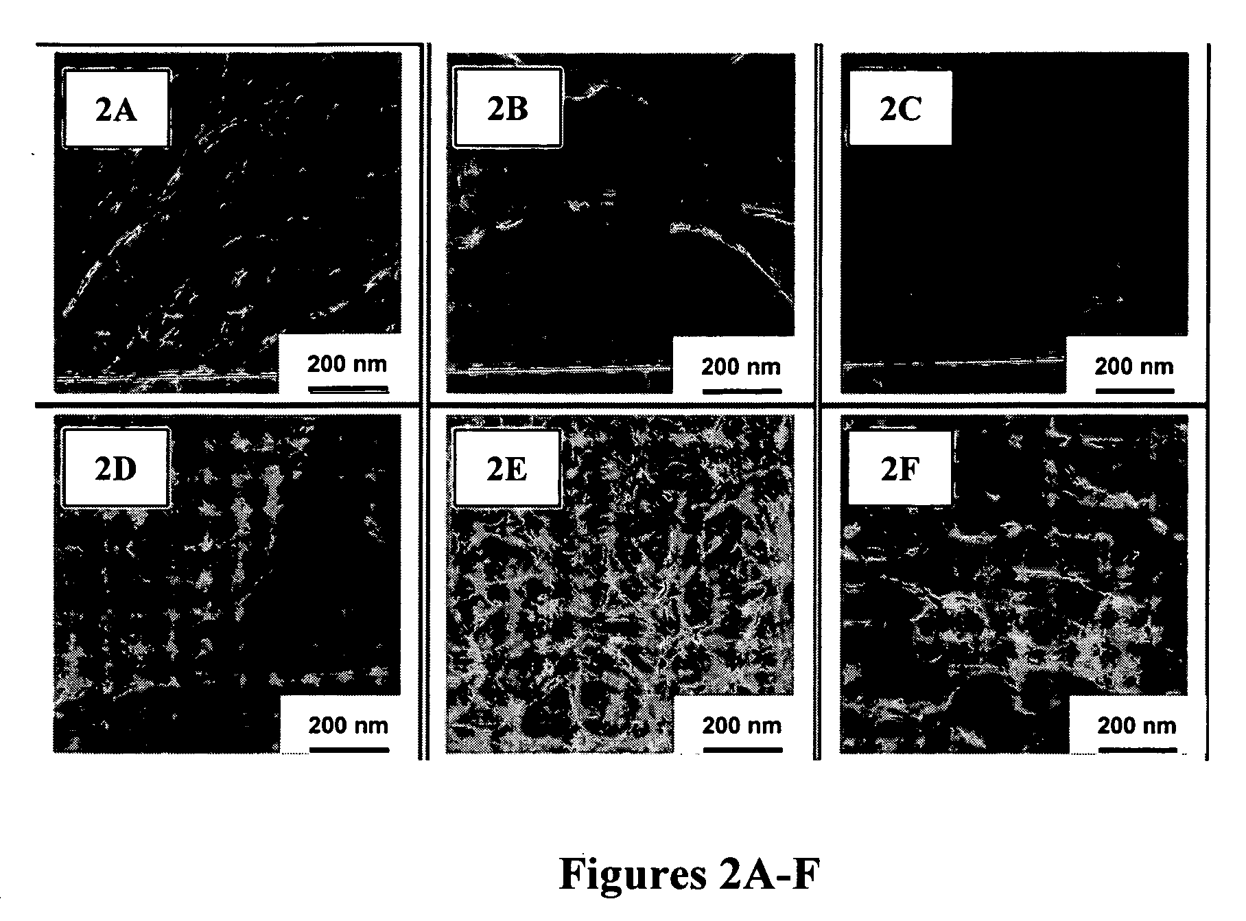 High tensile strength carbon nanotube film and process for making the same