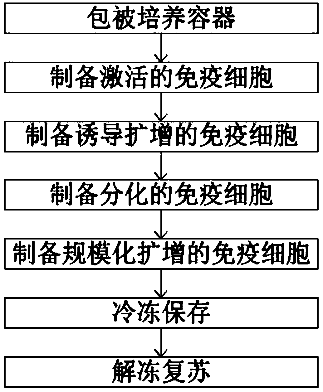 Immune cell in-vitro induction amplification method