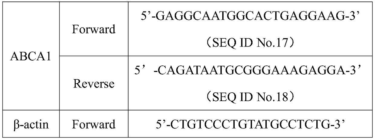 Exosome loading ABCA1 mRNA and construction method and application thereof