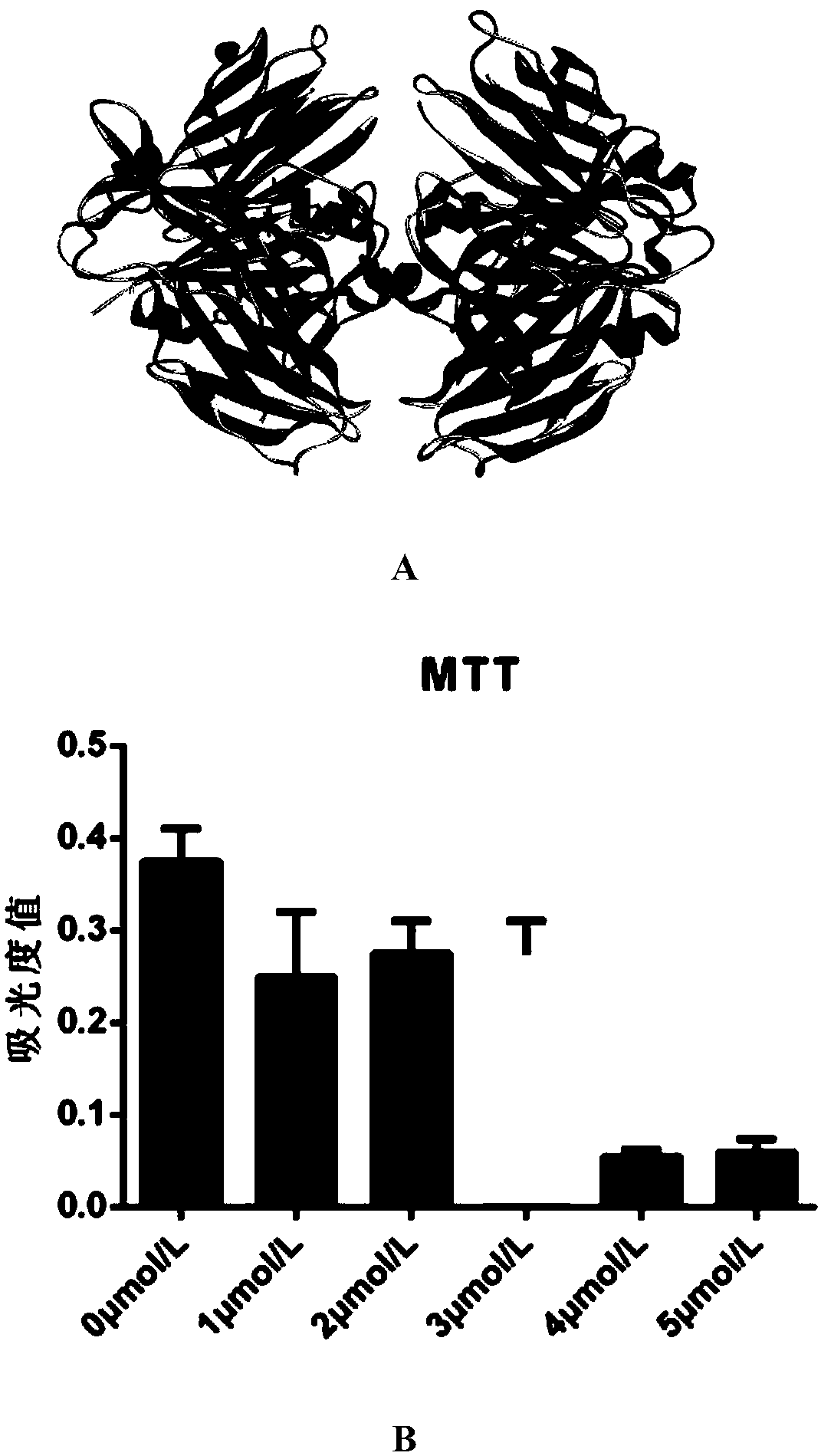 Application of transthyretin to inhibition of ocular neovascularization