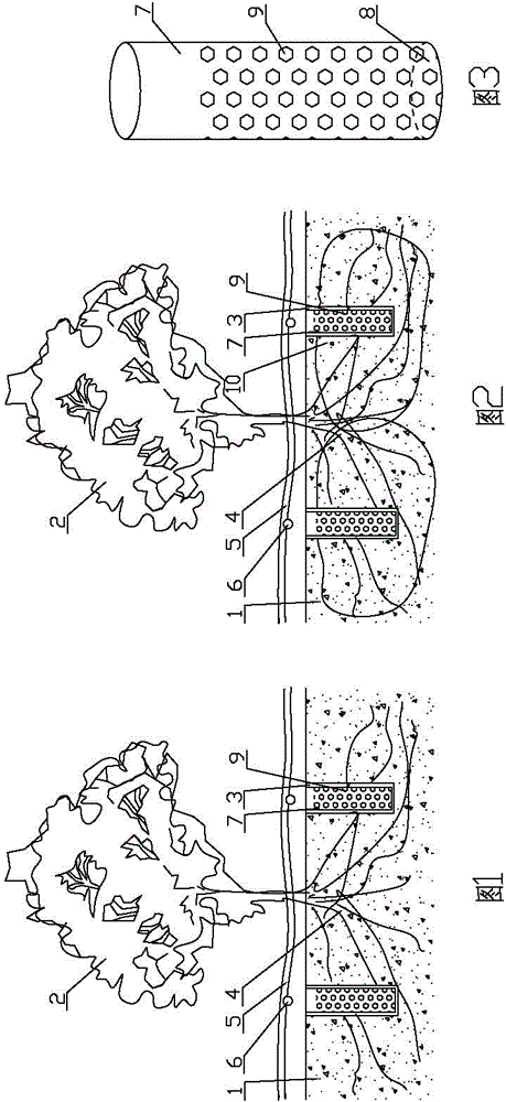 Forest well type water-saving irrigation method