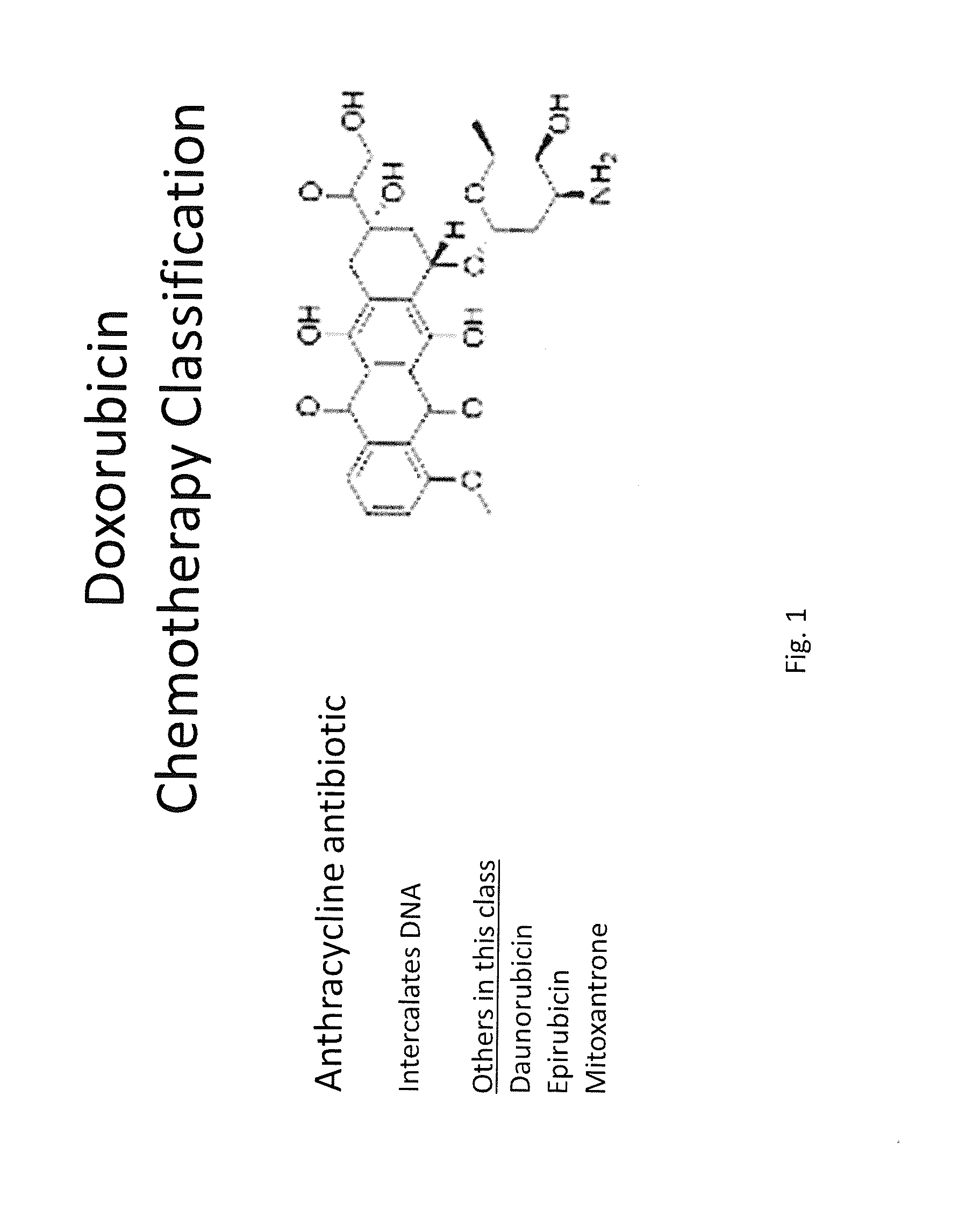 Synergistic cancer therapy drug combinations