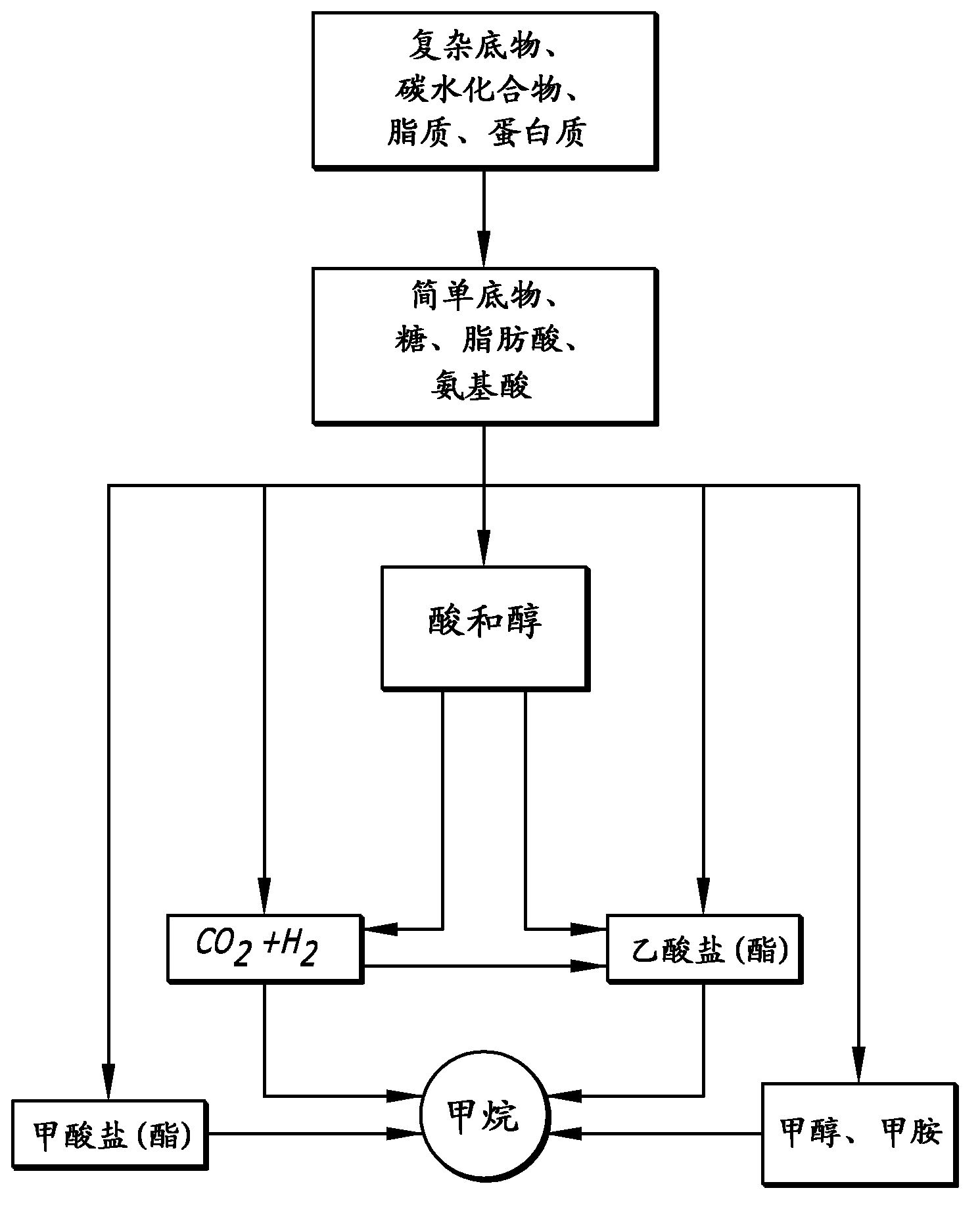 Bio vapor stimulation system