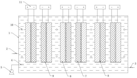 Photoelectric microorganism coupling nitrogen and carbon removal system