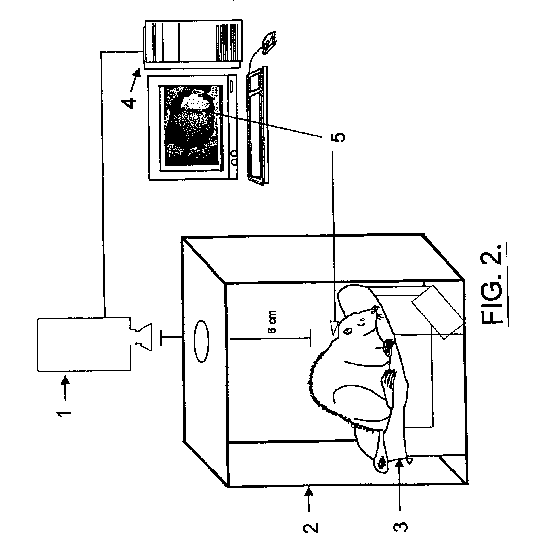 Infrared thermography