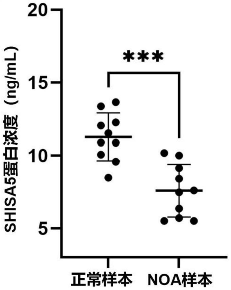 Biomarker related to non-obstructive azoospermia and application thereof