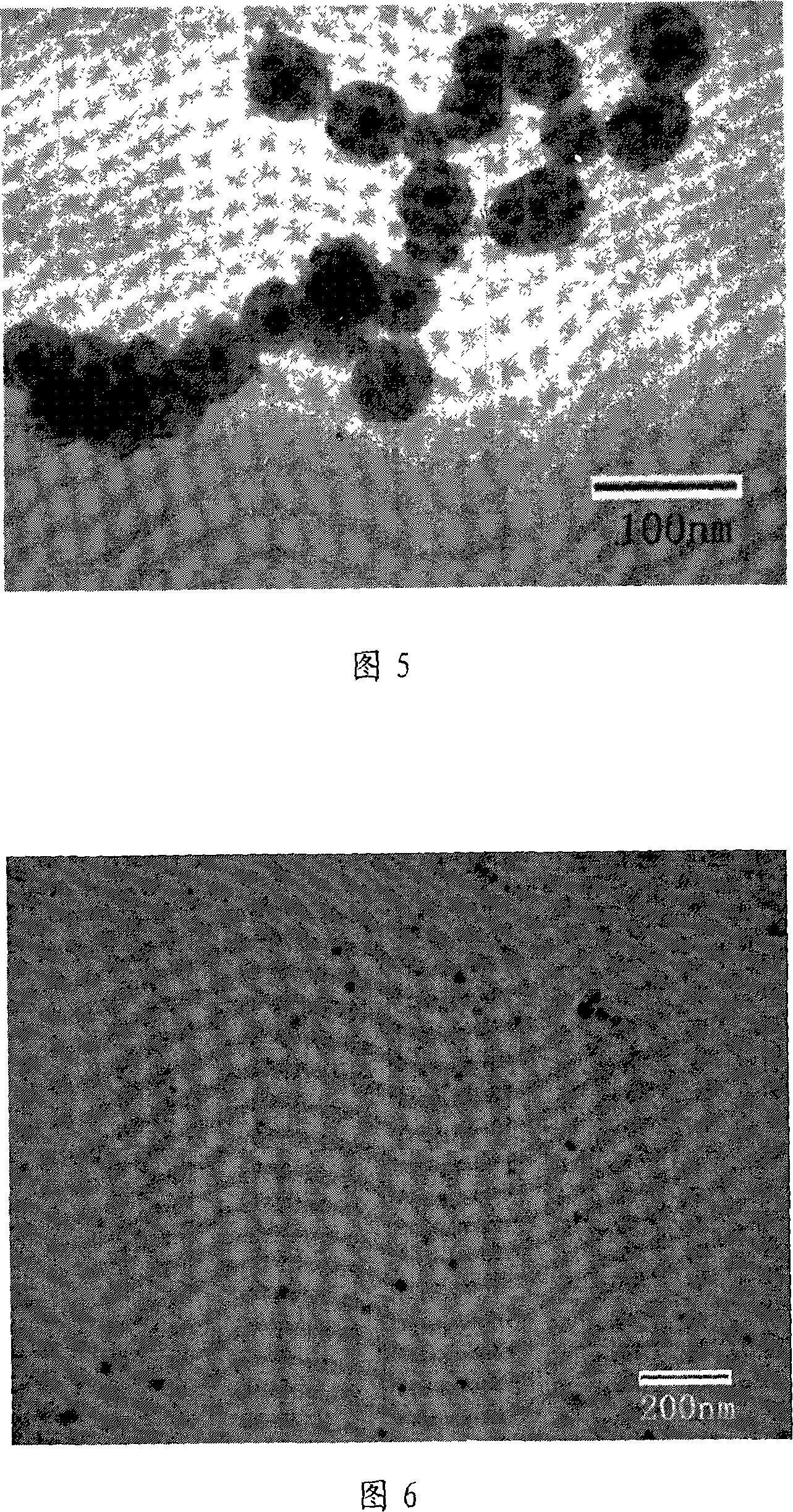 Method for preparing silver/silicon dixoide nucleocapsid structure nano particles