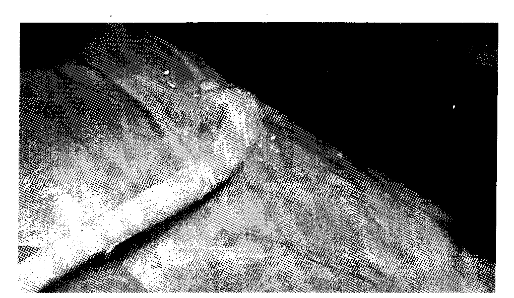 Nano fiber artificial blood vessel for catalyzing endogenous NO precursor to release NO and preparation method