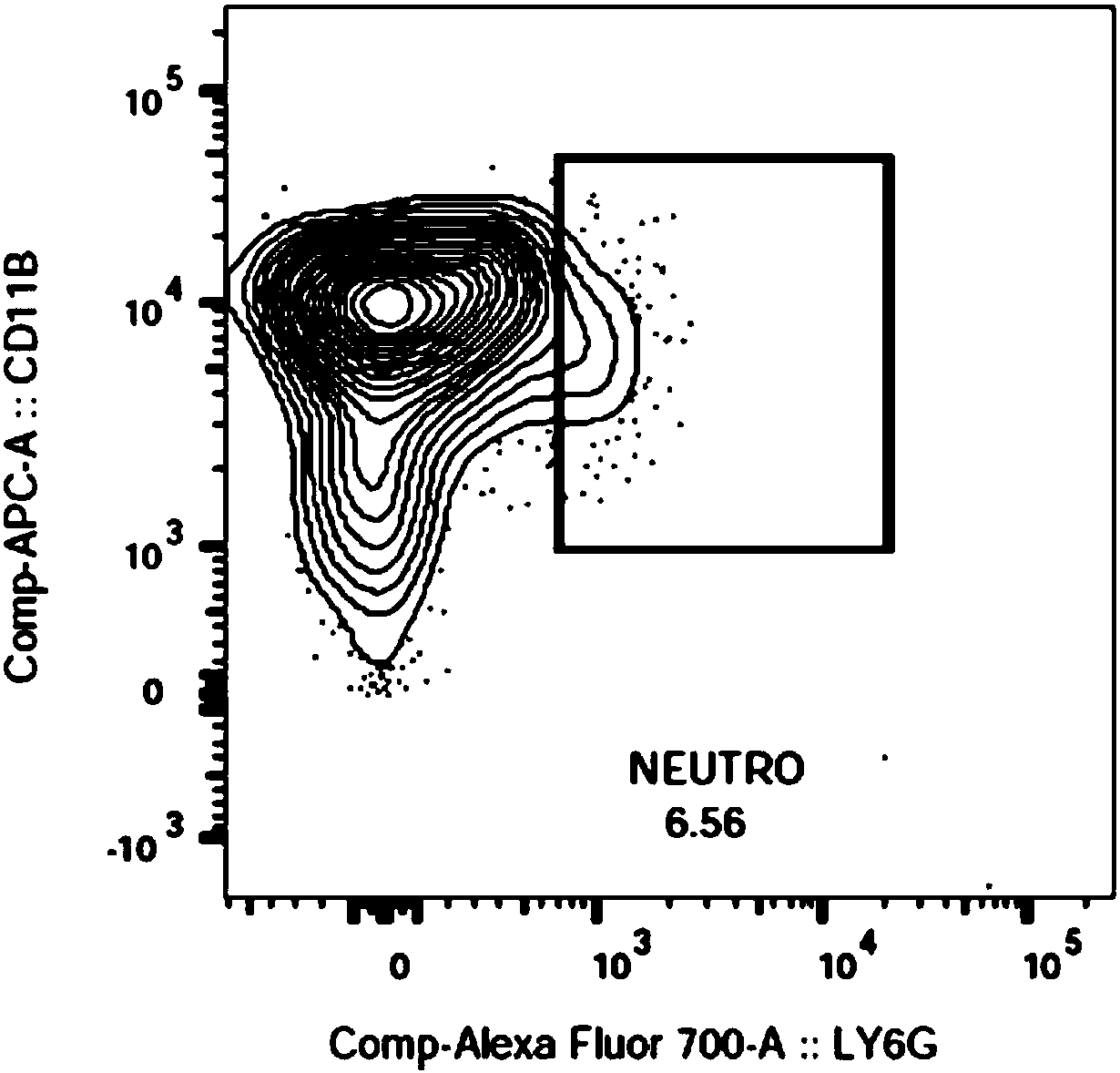 Establishing method of neutropenia atherosclerosis model rat