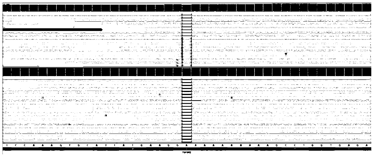 Immune sensitization predicted biomarker component, use and kit equipment storage medium