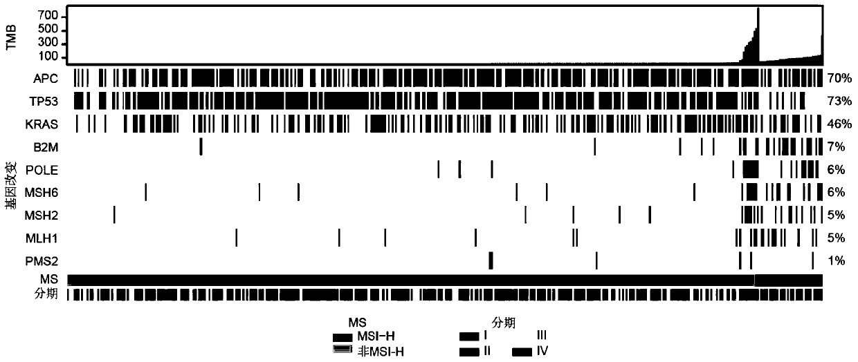 Immune sensitization predicted biomarker component, use and kit equipment storage medium