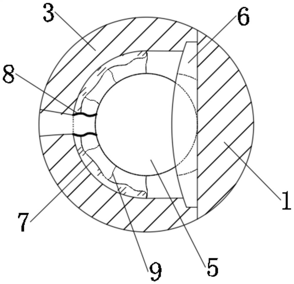 Anti-backflow type novel check valve