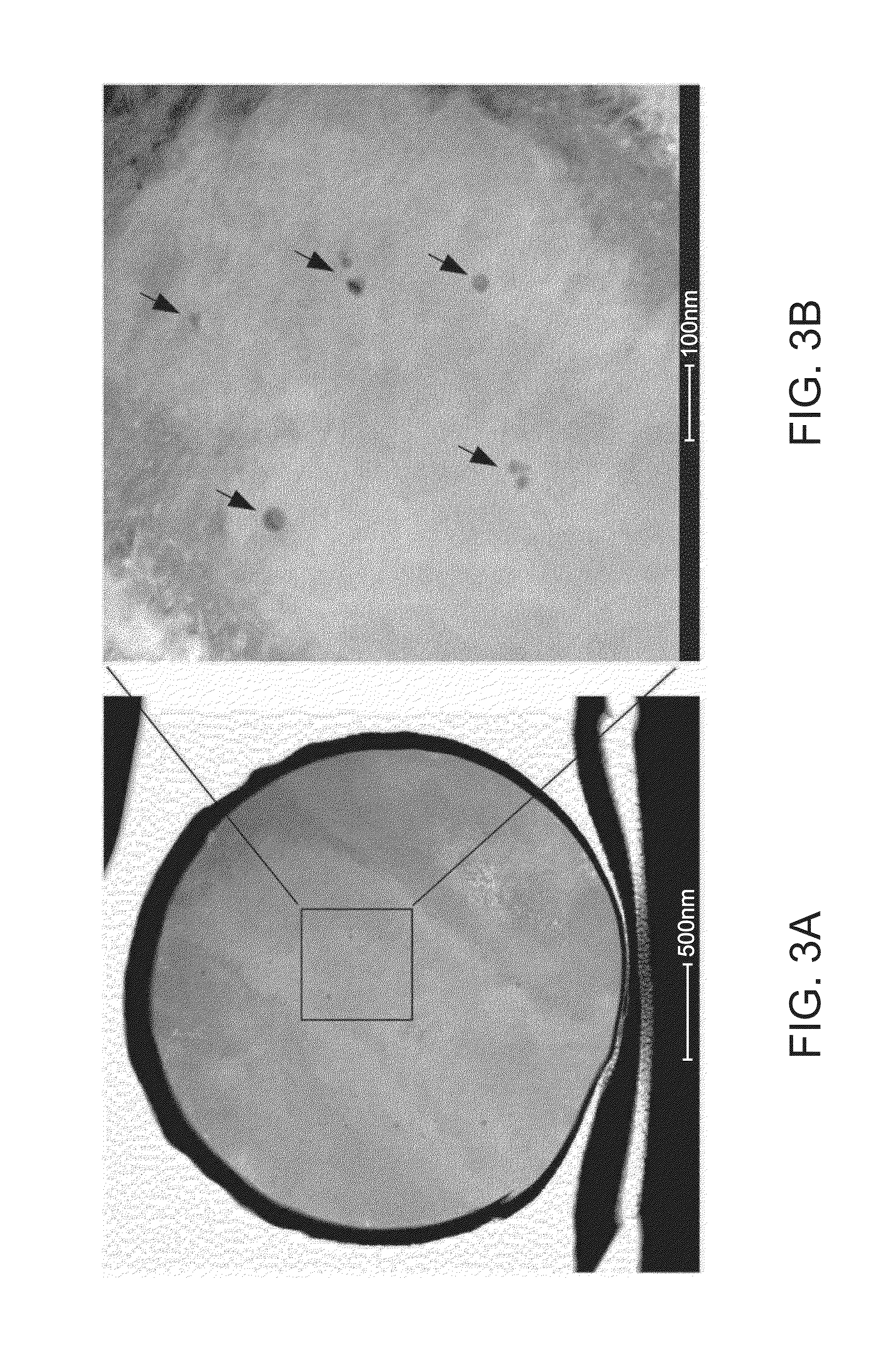 Metal powder for powder metallurgy, compound, granulated powder, sintered body, and method for producing sintered body