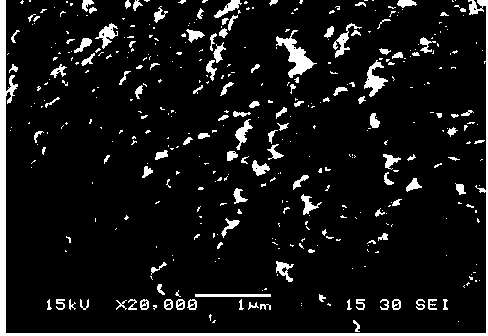 Bismuth tungstate nanocrystal and preparation method thereof