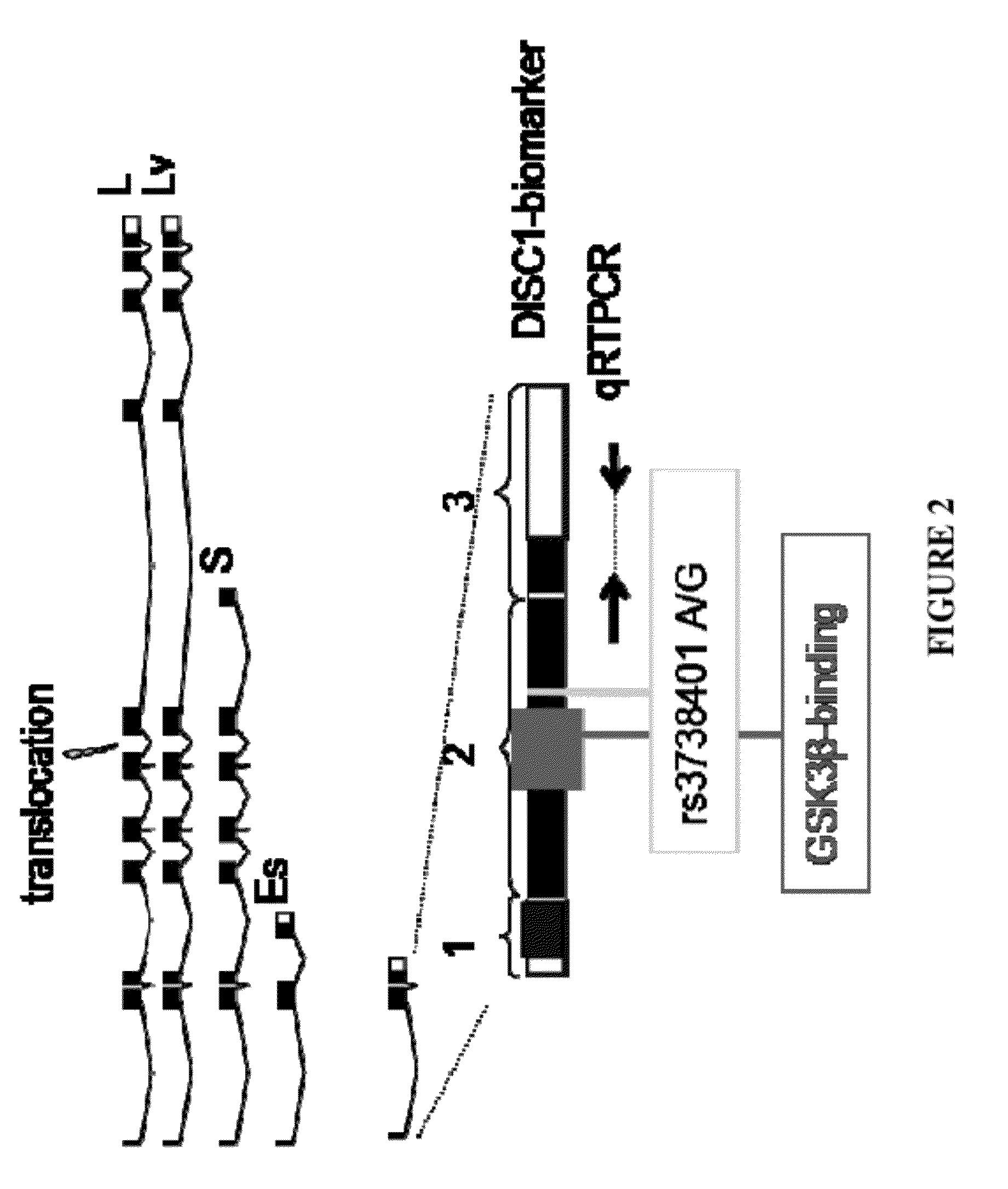 Schizophrenia treatment response biomarkers