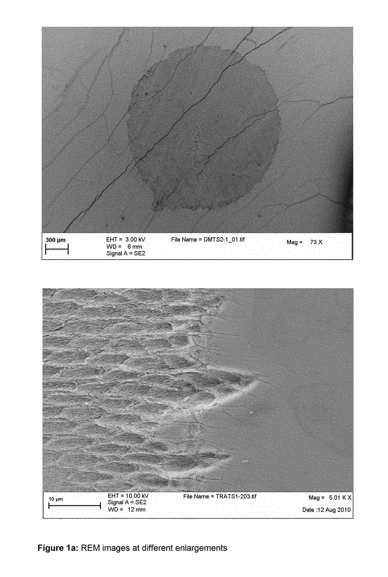 Compounds containing (meth)acrylate groups and sulfonate or sulfate groups, polymers and condensates therefrom and use of the polymers and condensates