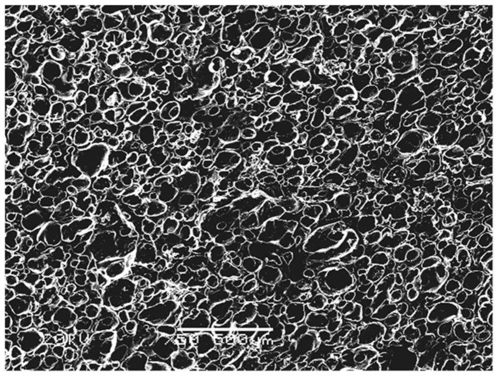 Foam carbon-based solid amine adsorbent as well as preparation method and application thereof