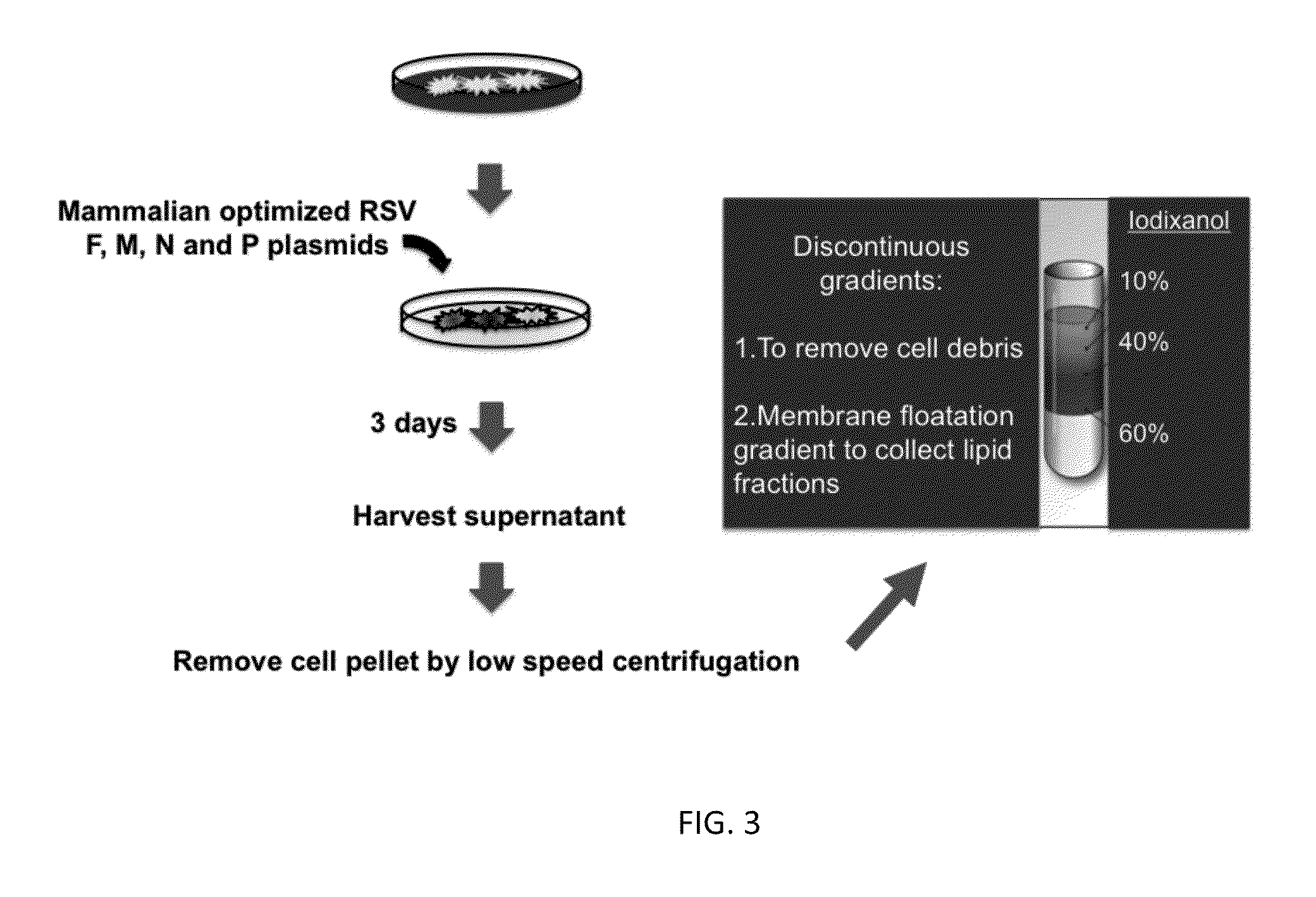 Virus-Like paramyxovirus particles and vaccines