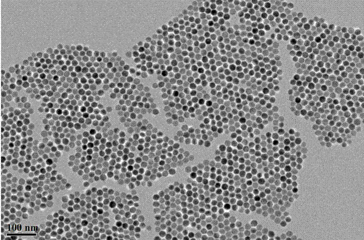 Up/down conversion dual-mode fluorescent nanomaterial for Nd&lt;3+&gt; sensitization and synthesis method thereof