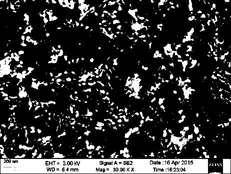 Stable nitrogen-doped carbon nanotube and iron oxide composite anode material and preparation method thereof