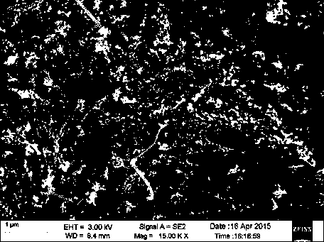 Stable nitrogen-doped carbon nanotube and iron oxide composite anode material and preparation method thereof